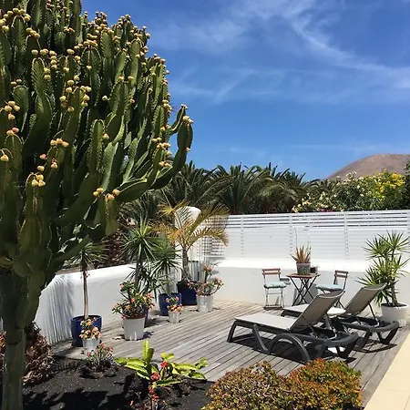 Jardin Del Cactus Дом отдыха *