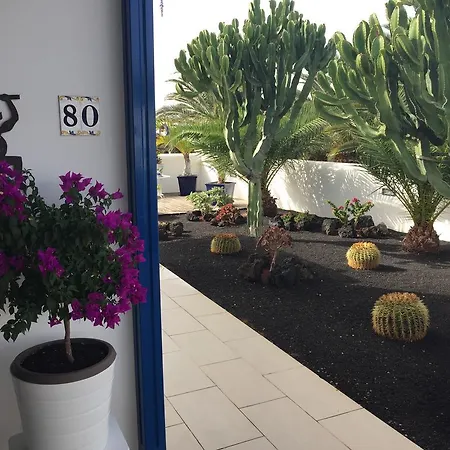Jardin Del Cactus * Puerto Calero
