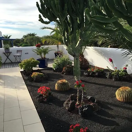 Jardin Del Cactus